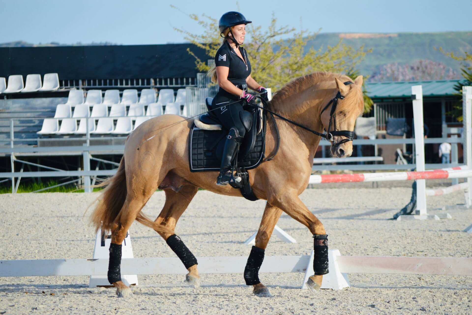 El Arte y la Ciencia Detrás del Trote Elegante de los Caballos