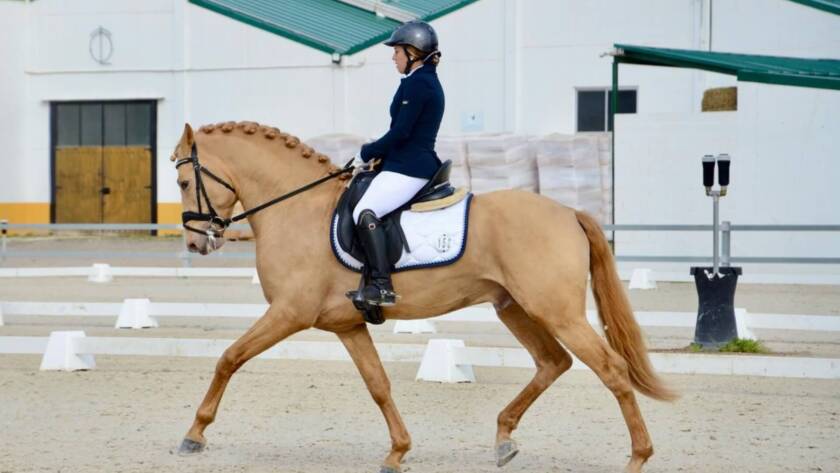 El Arte y la Ciencia Detrás del Trote Elegante de los Caballos