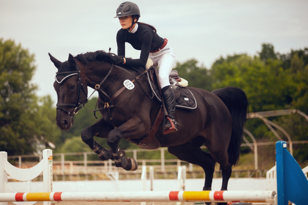 Deporte Ecuestre: La Elegancia y Disciplina del Salto