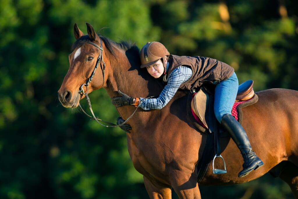 Mantener a tu Caballo en Óptimas Condiciones de Salud