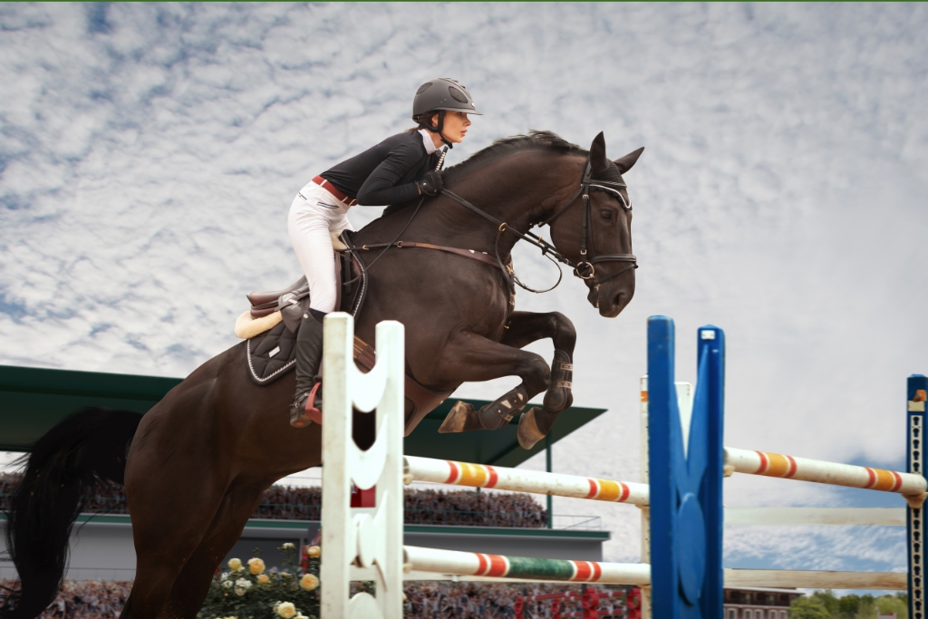 Deporte Ecuestre: La Elegancia y Disciplina del Salto