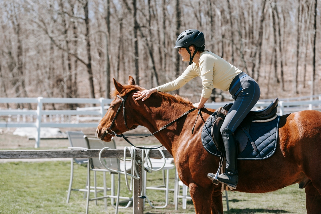 Más Allá de la Compra: Cómo Construir una Relación Fuerte y Duradera con tu Caballo