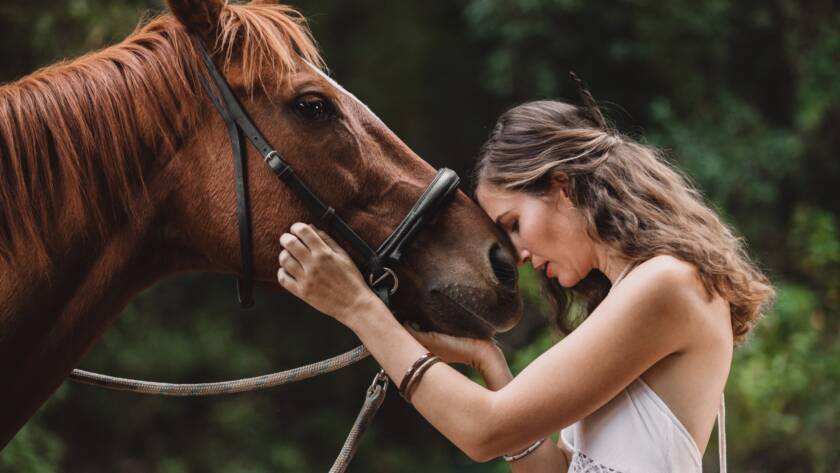 Más Allá de la Compra: Cómo Construir una Relación Fuerte y Duradera con tu Caballo