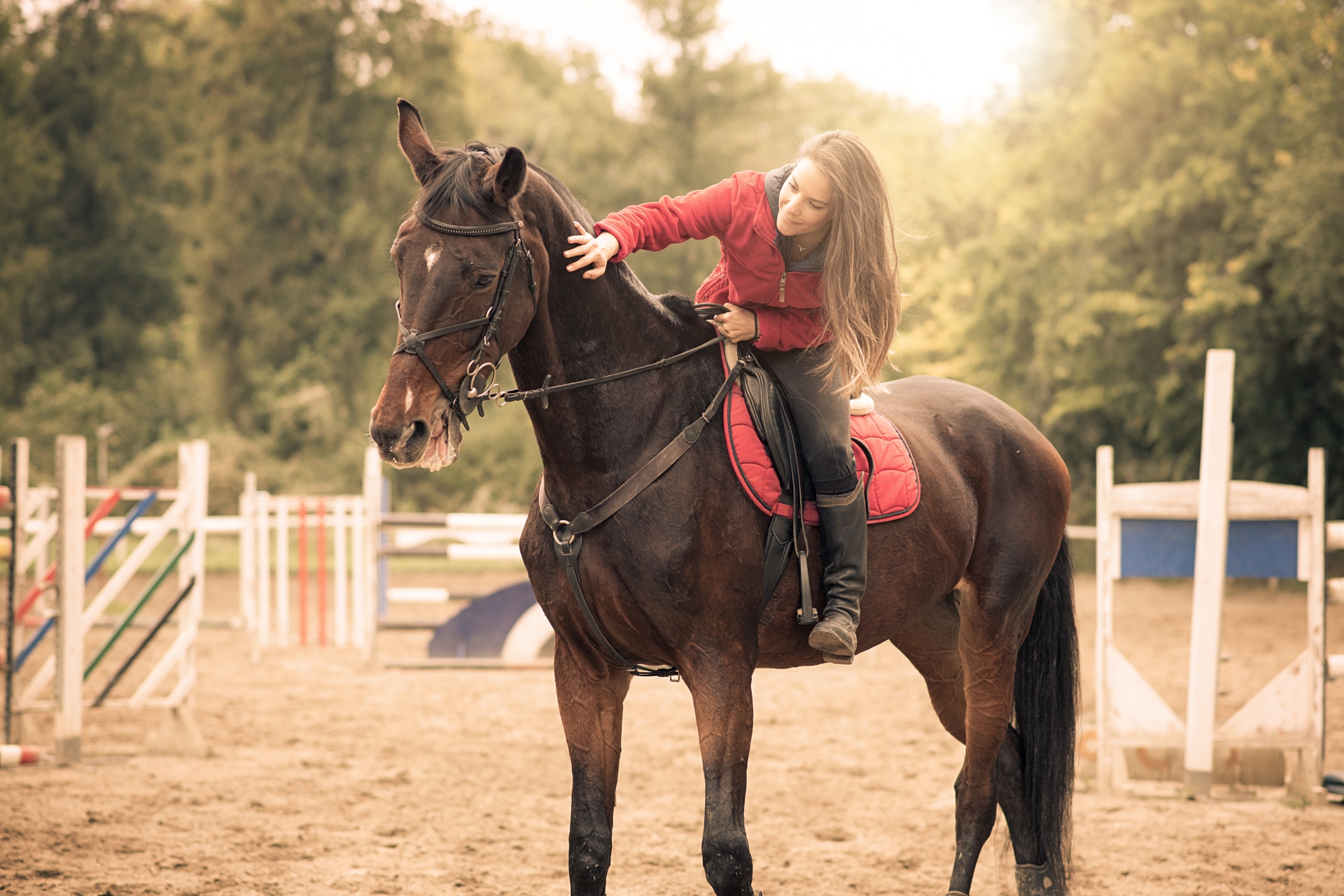 Conoce la Parte Sentimental de los Caballos