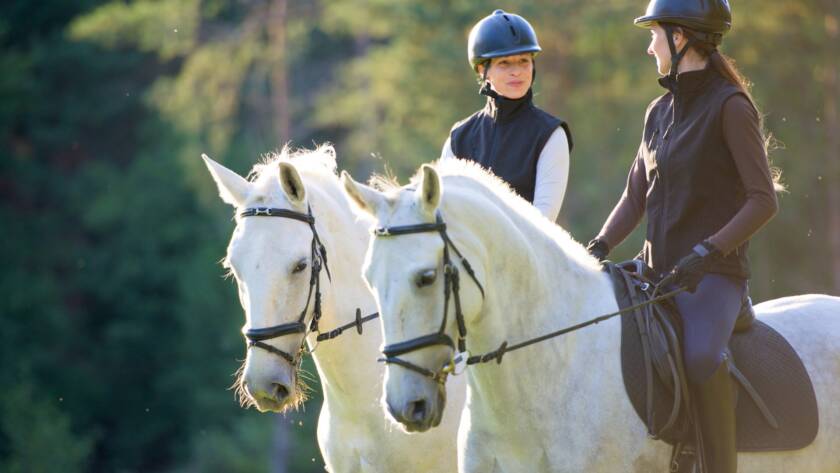 La Pasión por los Caballos: Un vínculo que Trasciende el Tiempo