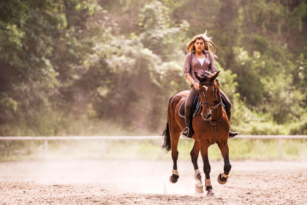 Consejos Clave Para Crear Un Vínculo Inquebrantable Con Tu Caballo