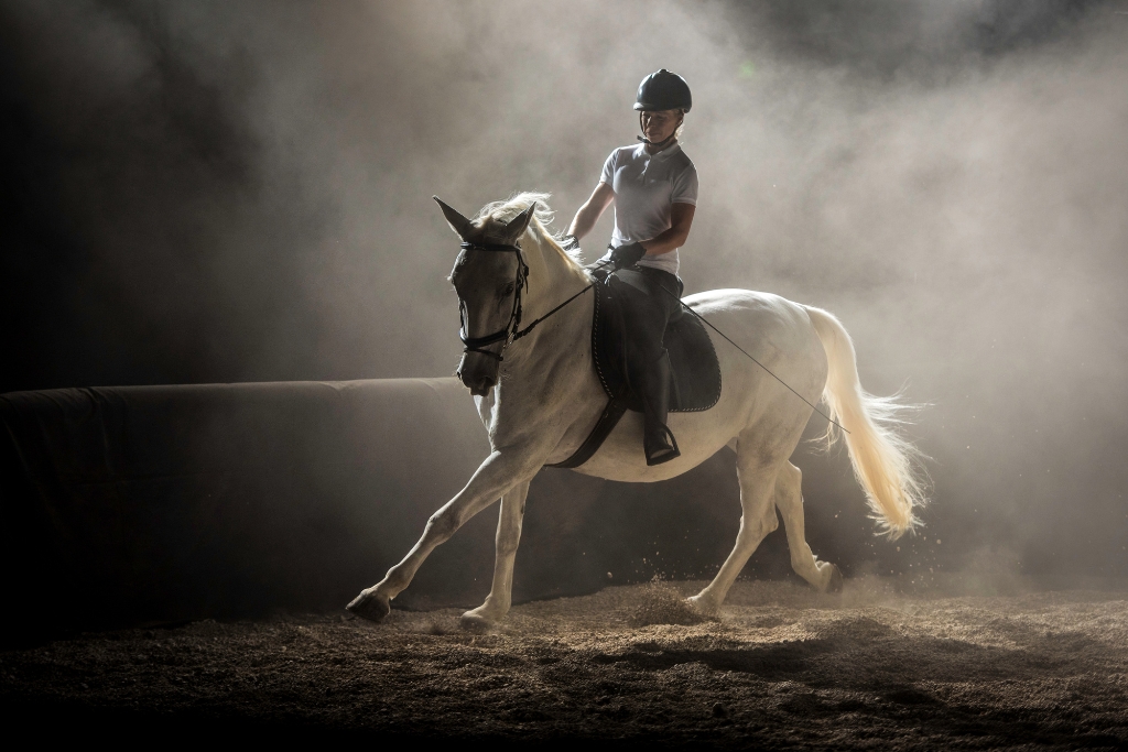 Consejos Clave Para Crear Un Vínculo Inquebrantable Con Tu Caballo