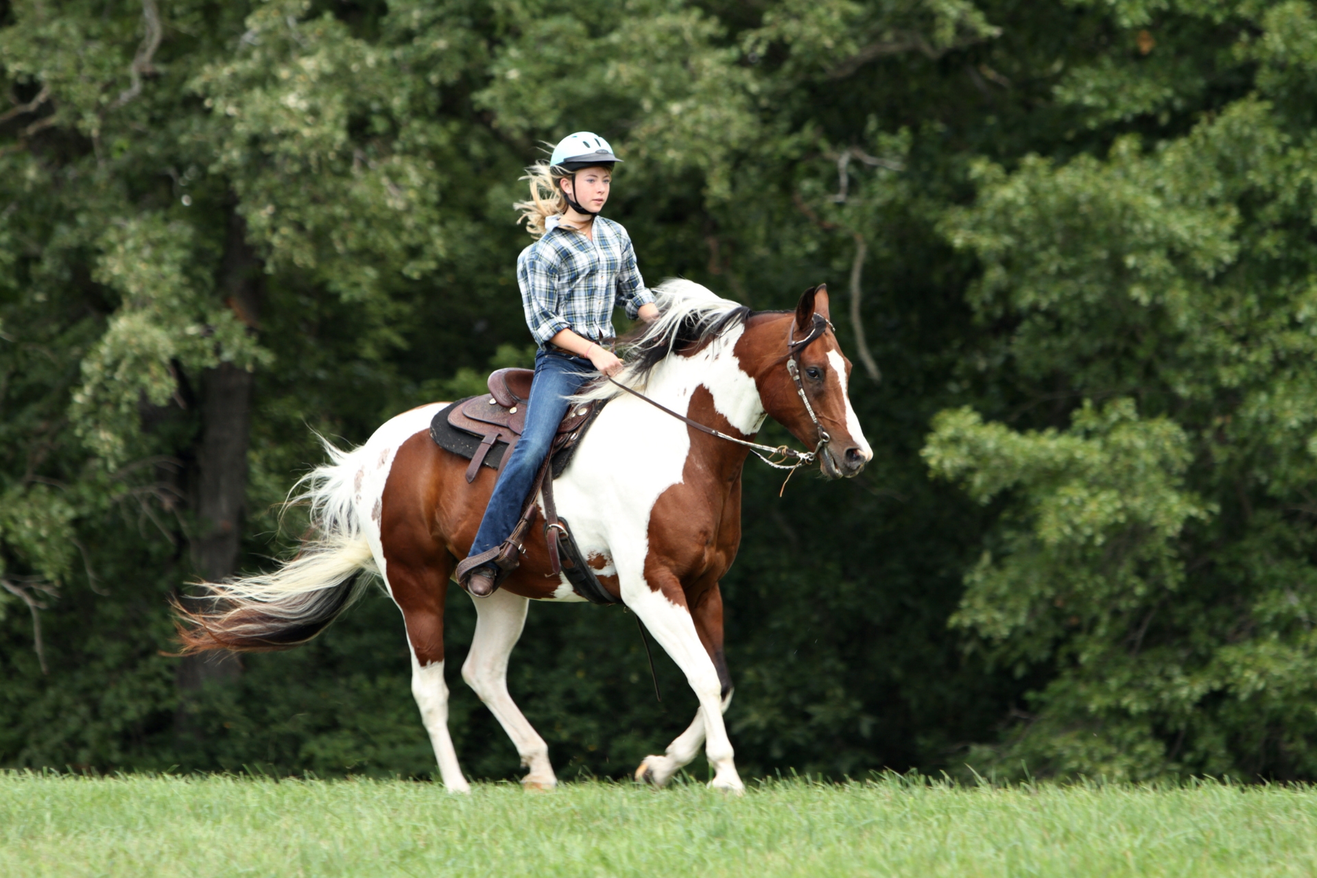 Consejos Clave Para Crear Un Vínculo Inquebrantable Con Tu Caballo