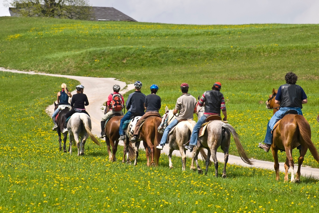 Más Que Un Paseo: Una Actividad Relajante Con Grandes Beneficios