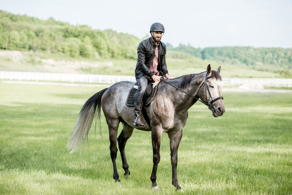 Enfermedades Que Afectan El Peso Y Desempeño De Tu Caballo