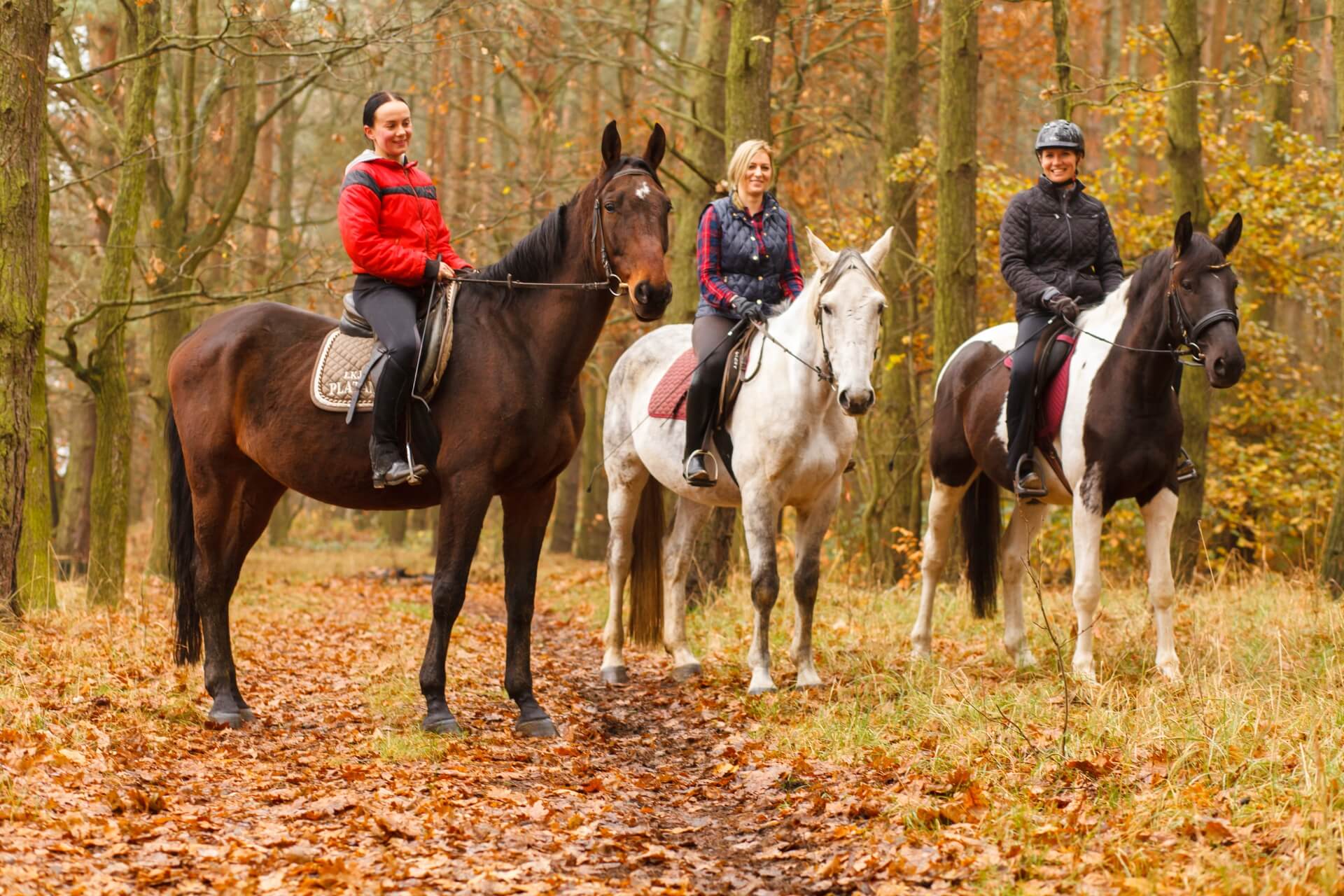 Más Que Un Paseo: Una Actividad Relajante Con Grandes Beneficios